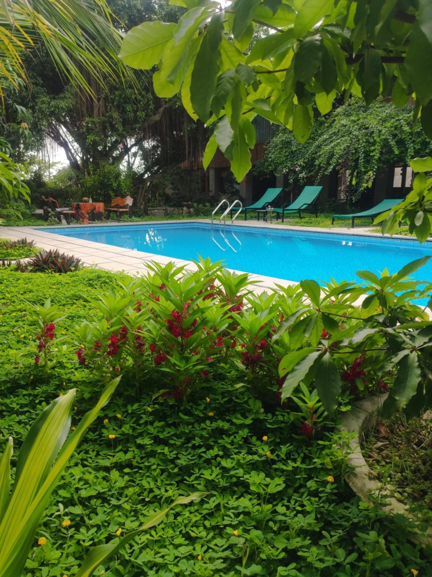 Tuyet'S Homestay Ниньбинь Экстерьер фото